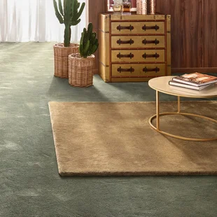 Illustration - Ihr Experte für schönes Wohnen - Ein hellbrauner kleiner Teppich liegt im Wohnzimmer auf einem grünen Teppichboden.